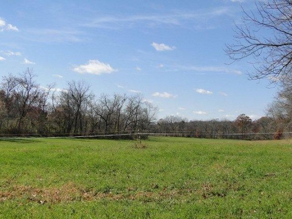 Bottom Land Field