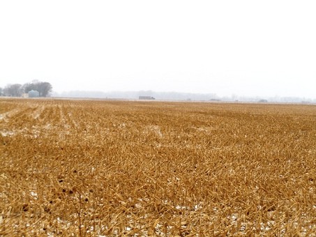 Farm Ground