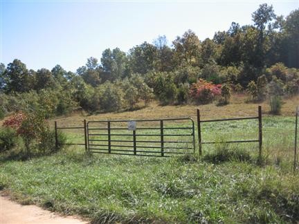 Entrance Gate