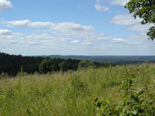 Land & View