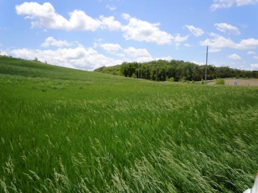 4.44 Acres
