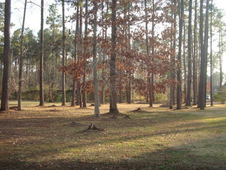 Lot In Albemarle Plantation