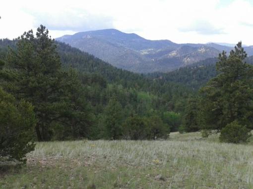 Beautiful Home Site!