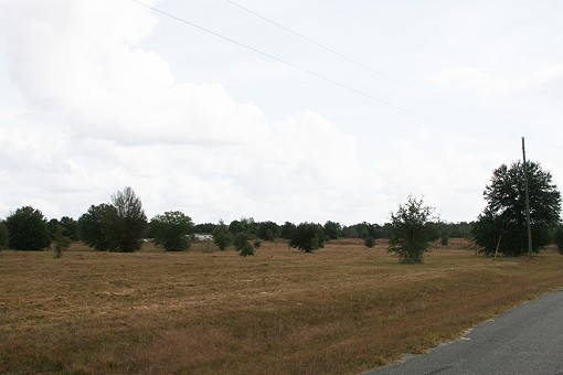 Lot 22 Cardinal Farms