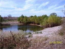 Stock Pond