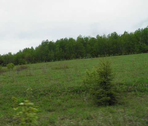 Land/lot