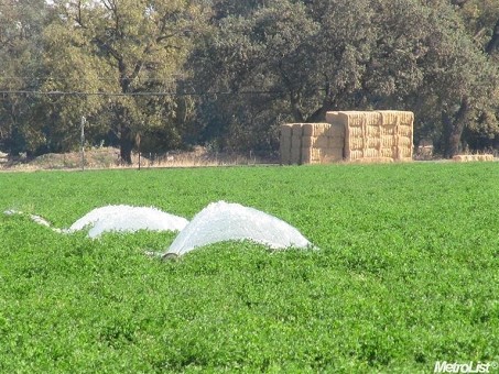 42 Acres