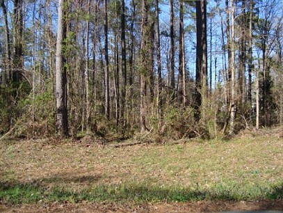 Snug Harbor Lots 9-c & 10-c