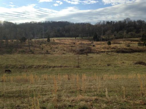 Land
