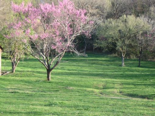 6.13 Acres In Franklin, Tn!!