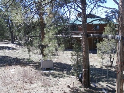 Ponderosa Pines Ridgway Colorado Home