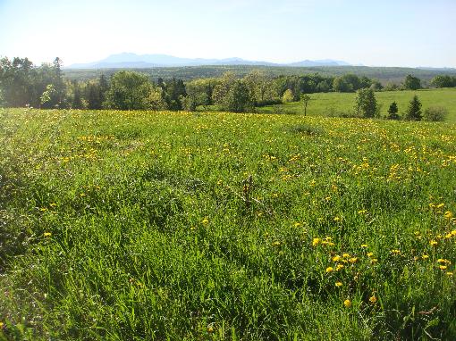 Land/lot