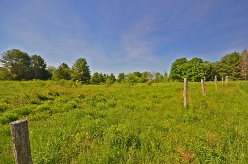 Land/lot