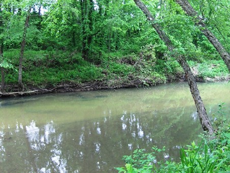 Creek