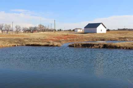 Spring Fed Pond