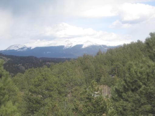 Pikes Peak View