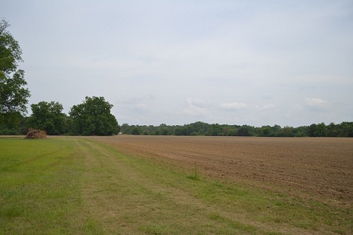 Front Field