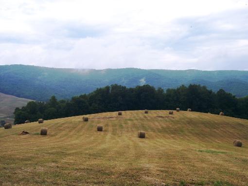184 Acres