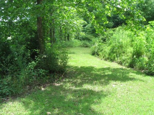 10.55 Acres In Franklin, Tn!!