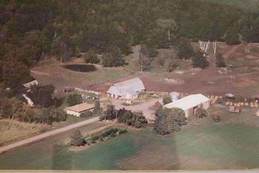 Minnesota Farm For Sale