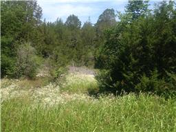 Land For Sale In Williamson County Tn