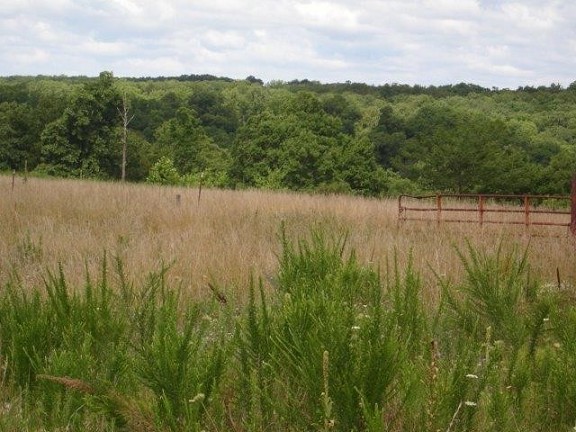 Land View