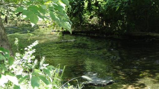 Creek