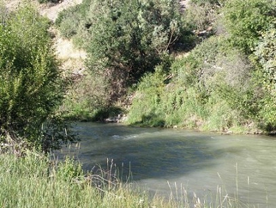 Colorado River Front Home - image 7