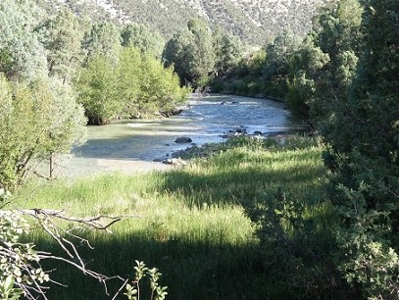 Colorado River Front Home - image 8