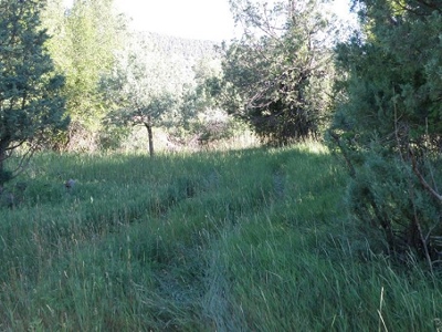 Colorado River Front Home - image 1