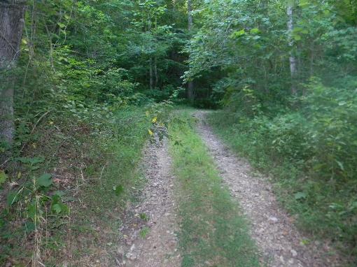 Hunting Property
