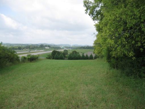 3.1 Acres In Franklin, Tn!!!