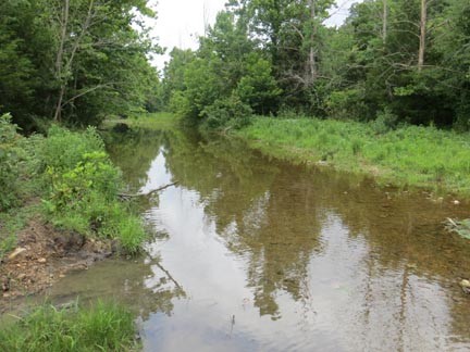 Camp Creek