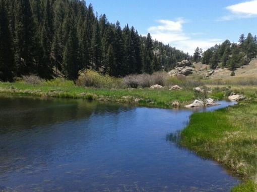 Private Pond