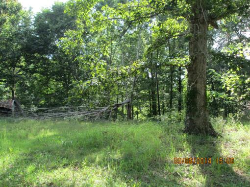 1.53 Acres In Franklin, Tn!!