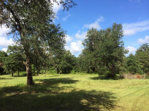 Lot 4 Pine Oak Hammock