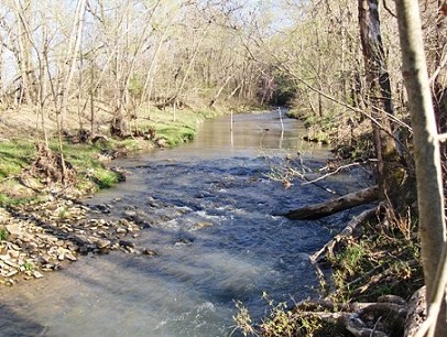 Creek