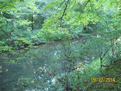 2 Acres Black River Frontage