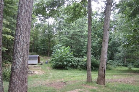 Wooded Area