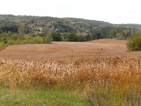 Field