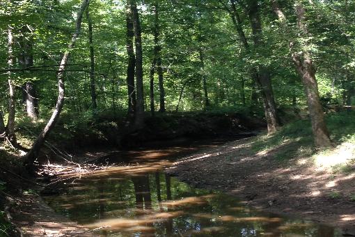 Smackover Creek