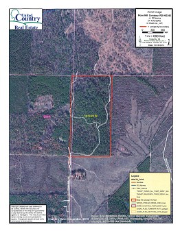 Rose Hill Cemetery Road Aerial Photo