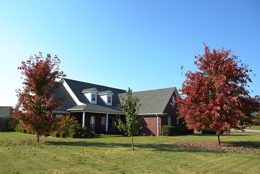 Front Corner View