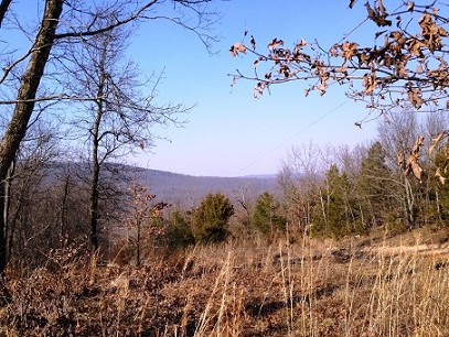 Pretty View