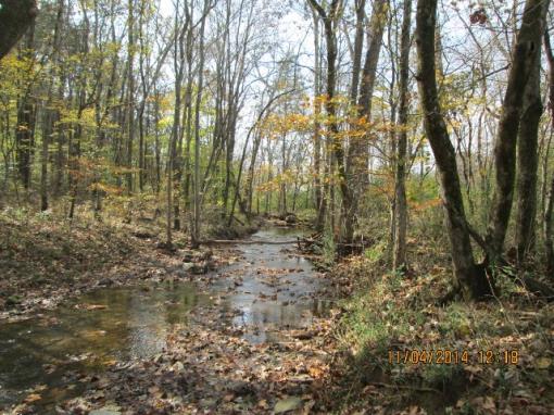 51.74 Acres Near Natchez Trace In Maury Co., Tn!!