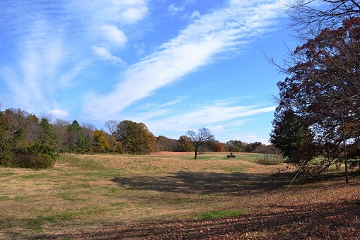 Farm View