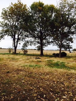 Land