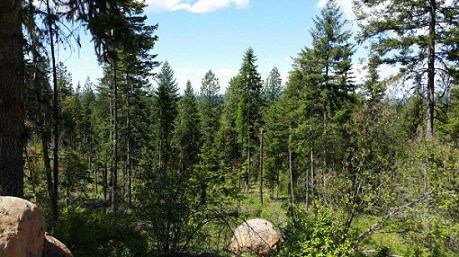 Wilderness Point Parcel C