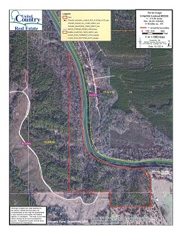 Longview Aerial Photo