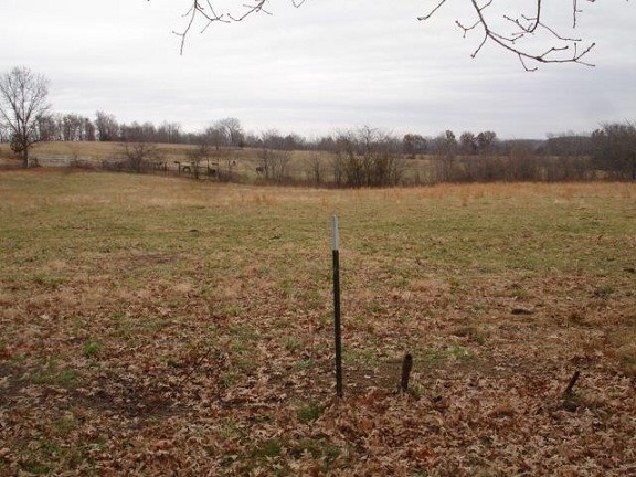 Land Scene